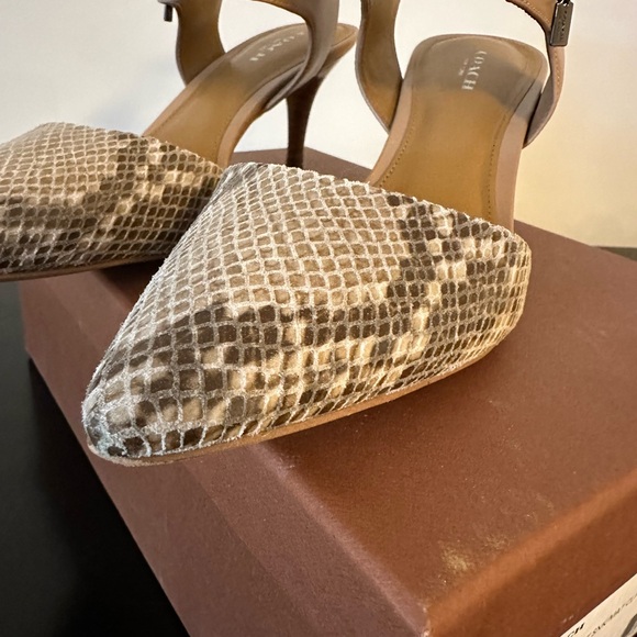COACH Heeled Pumps - Picture 11 of 14